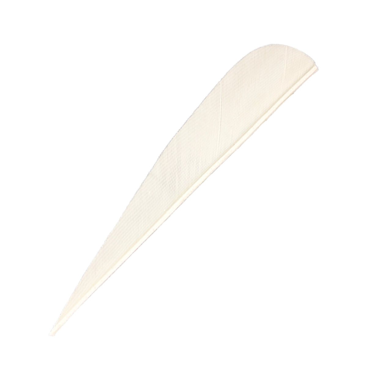 Feder RW Parabol