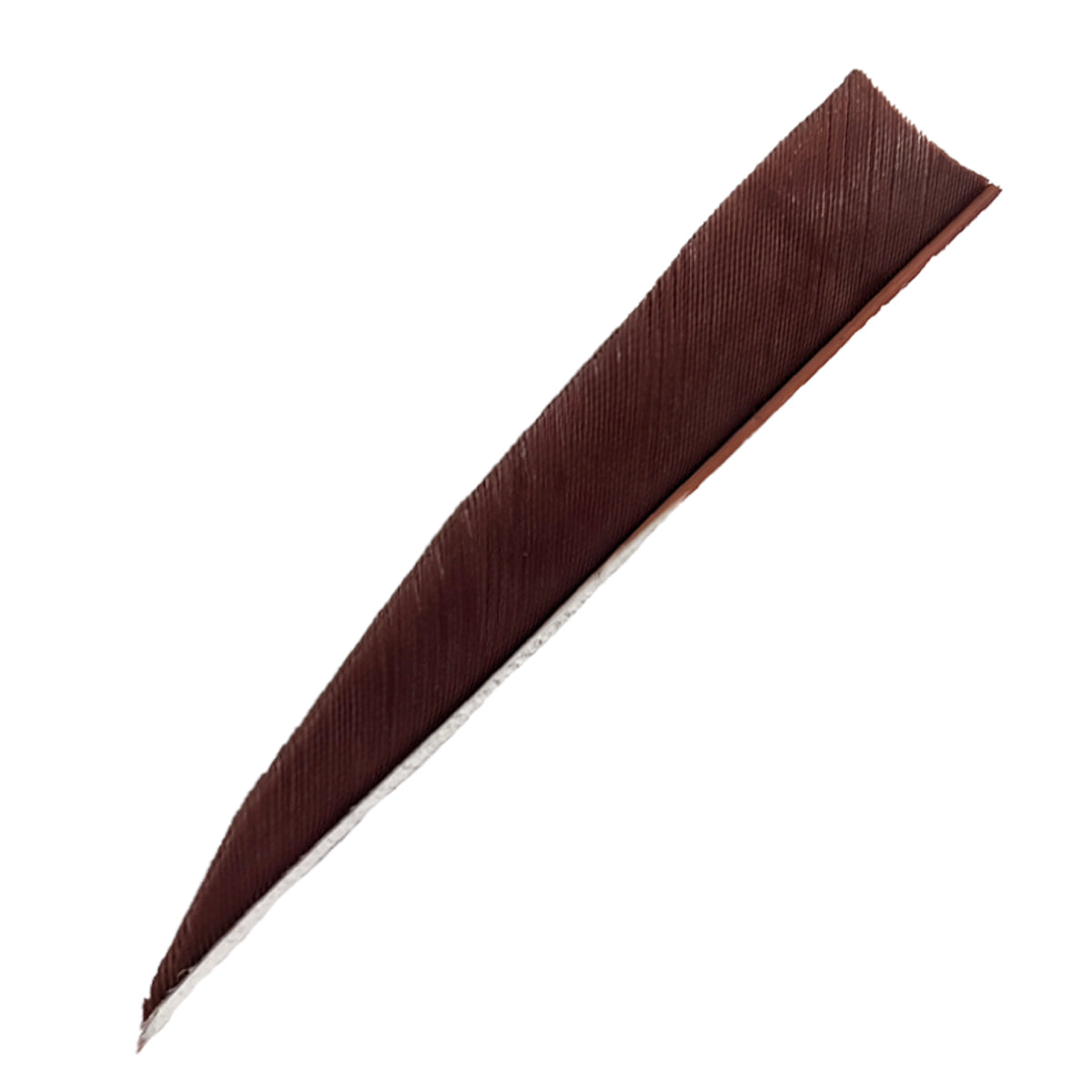 Feder RW Shield