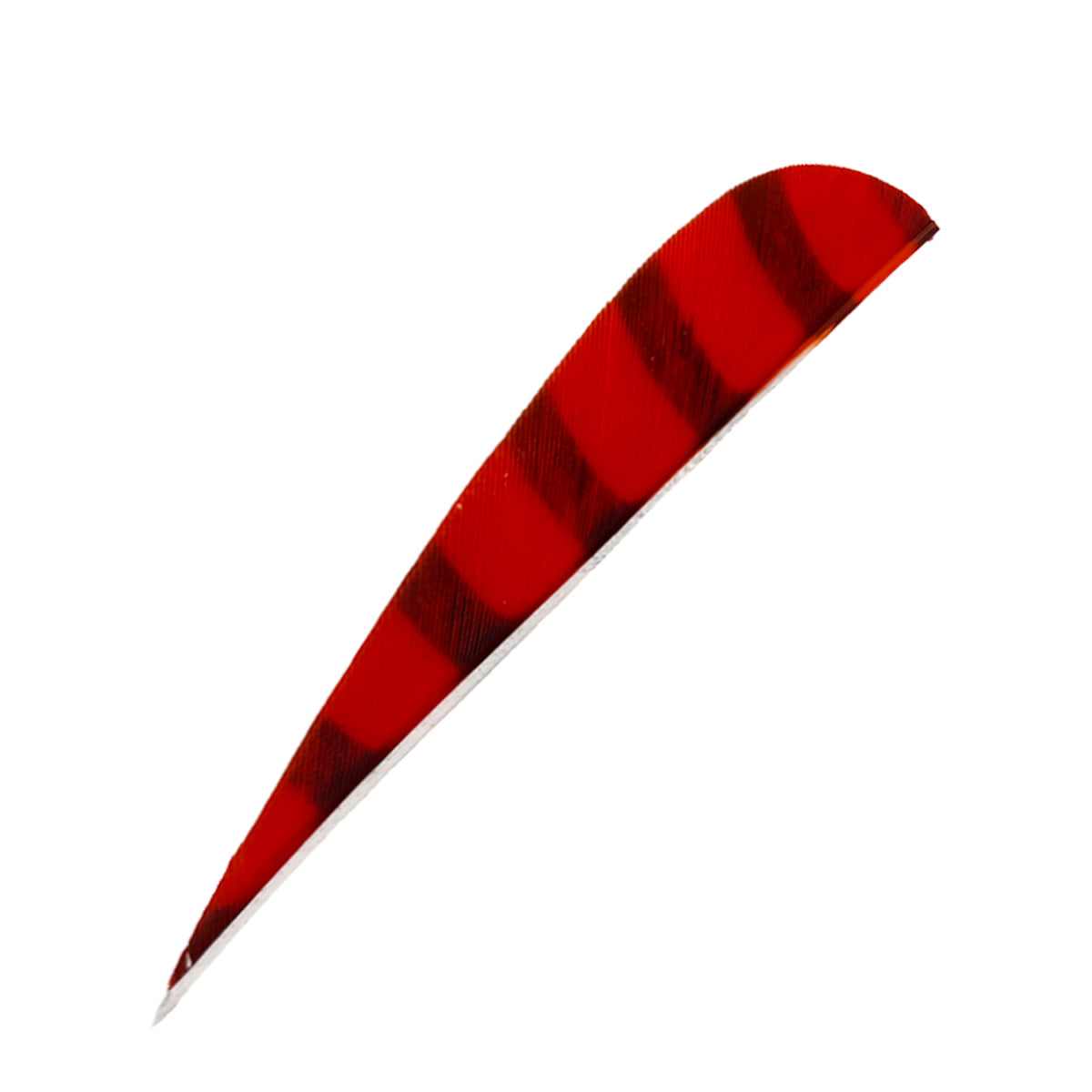 Feder RW Parabol