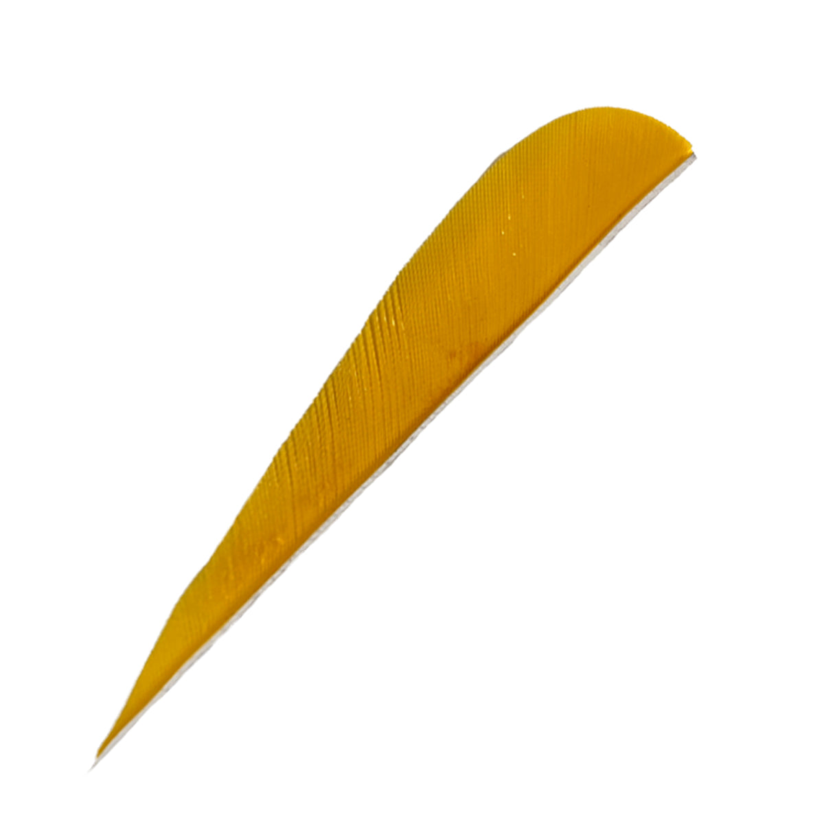 Feder RW Parabol