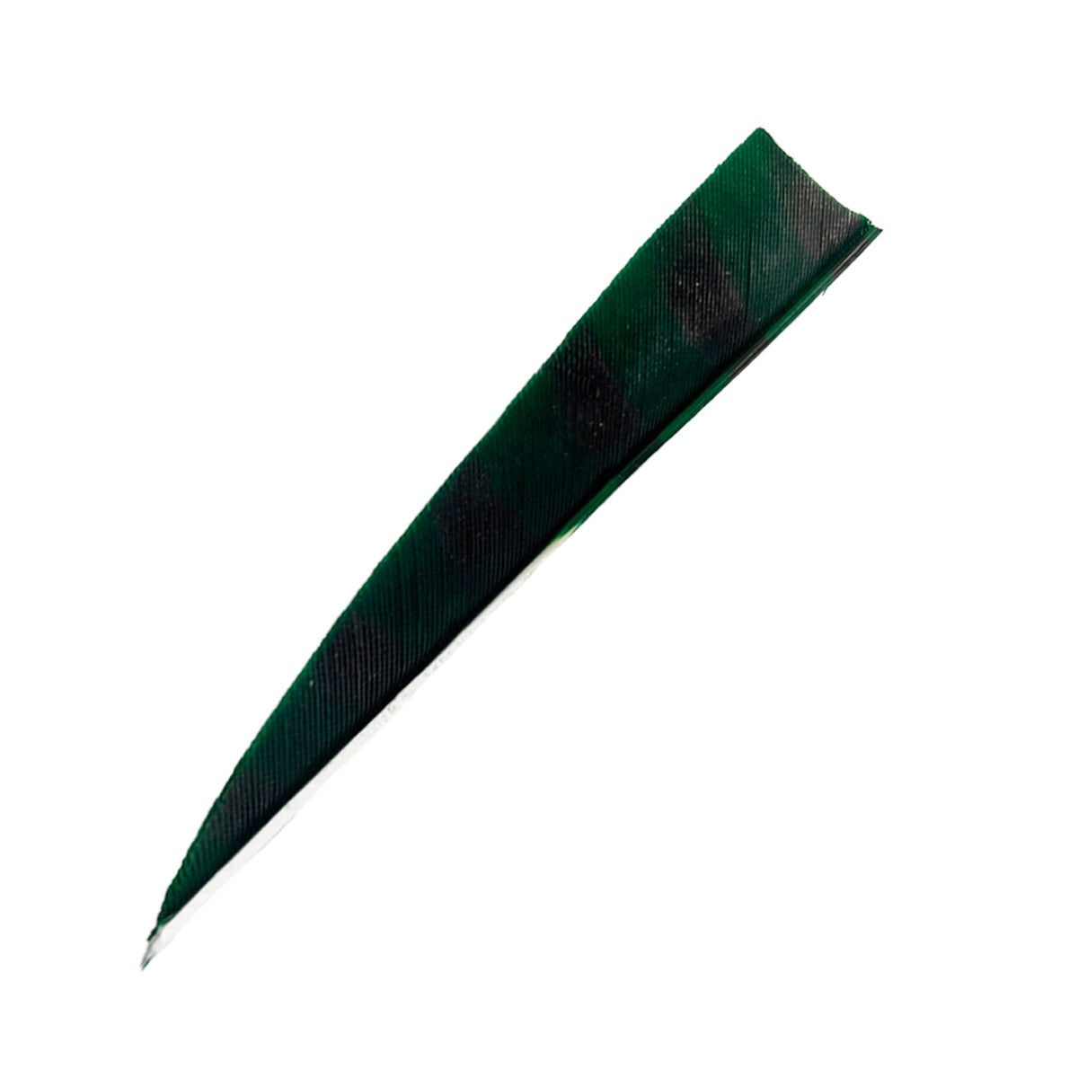 Feder RW Shield