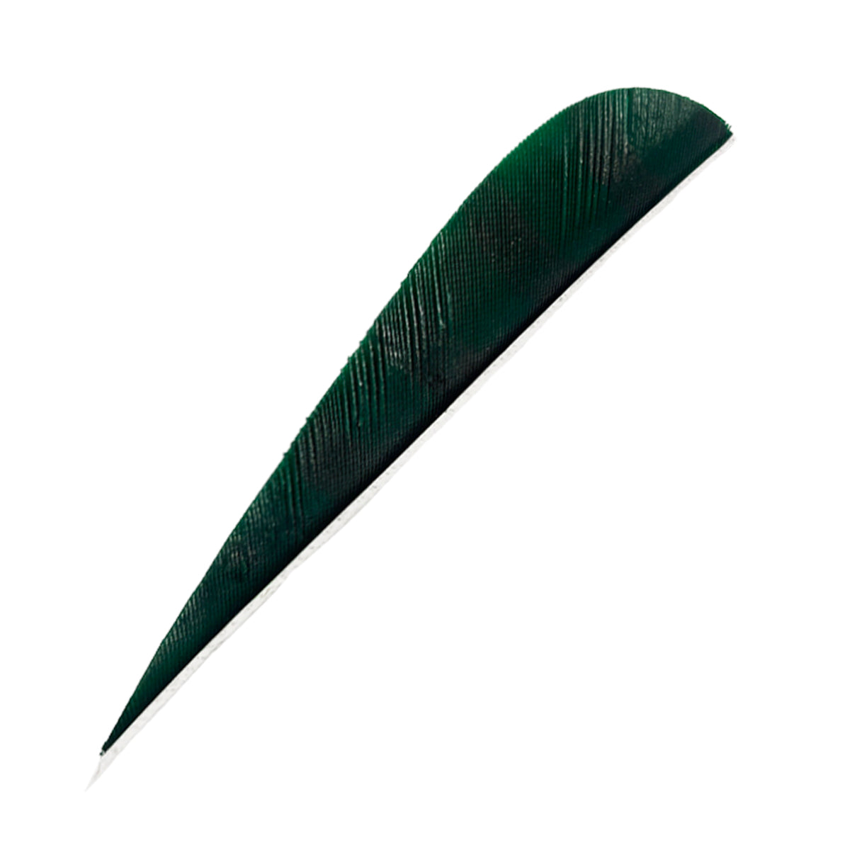 Feder RW Parabol