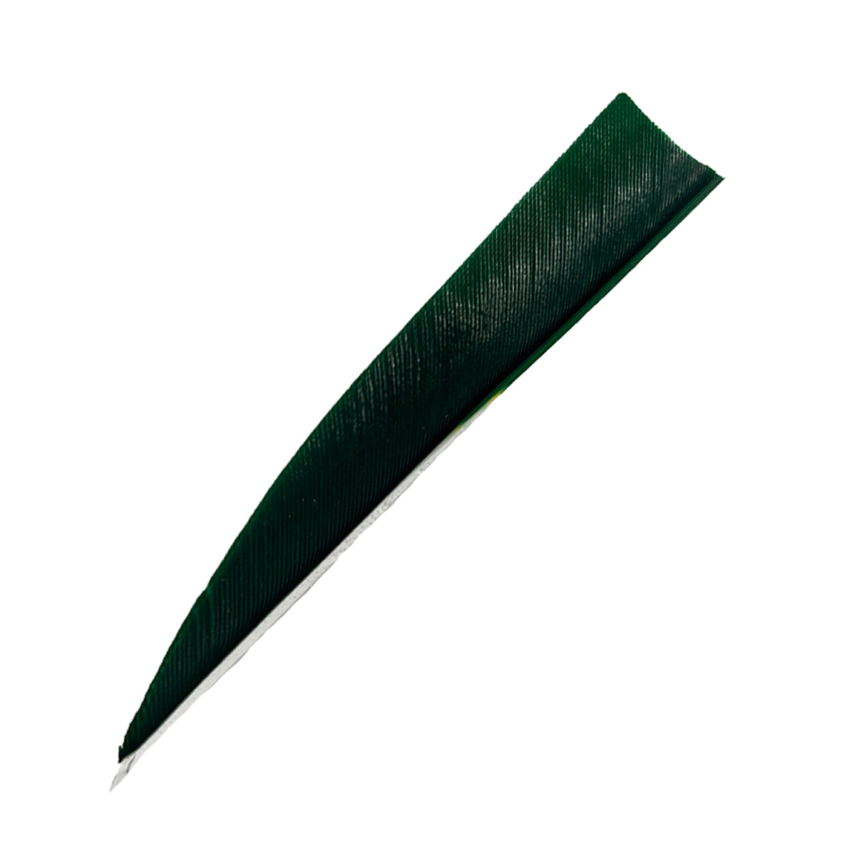 Feder RW Shield