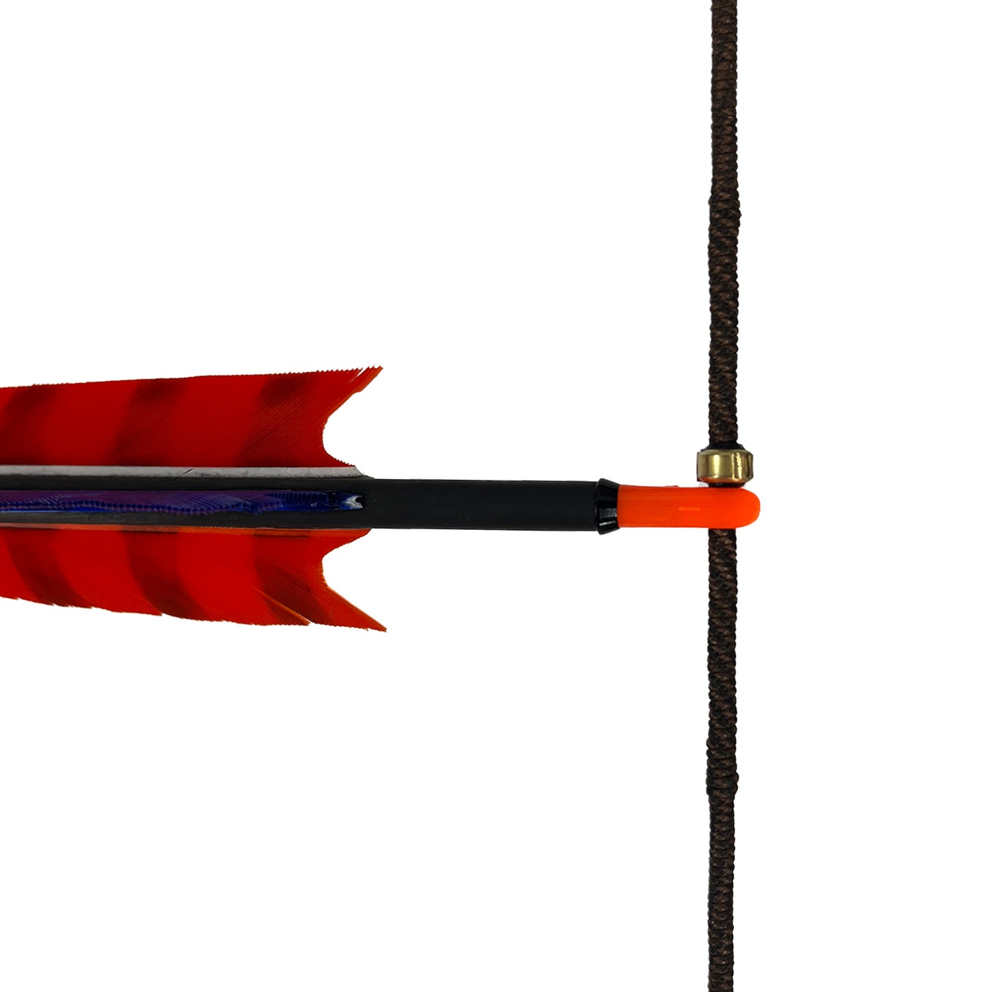NEW Nockpunktbegrenzer