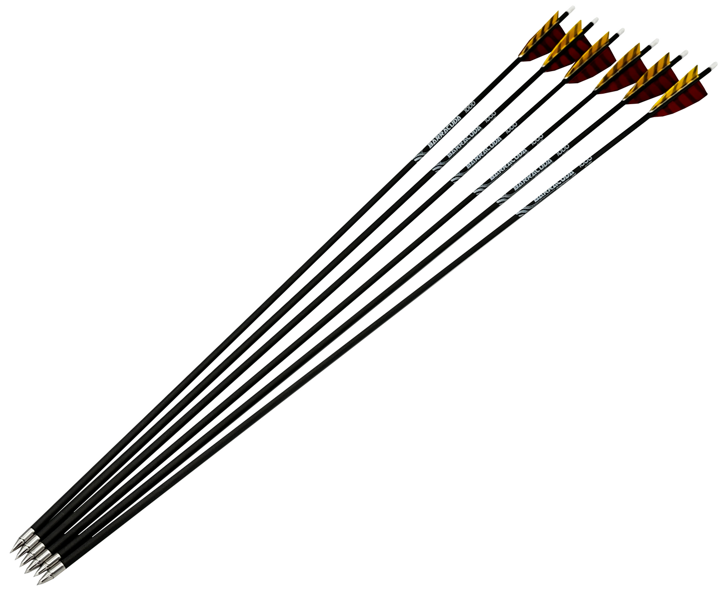 1/2 Dutzend Schäfte Barracuda