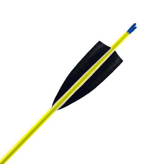 Custom Pfeil Barracuda Colorline