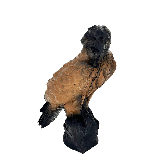 3D Ziel Falke Errol