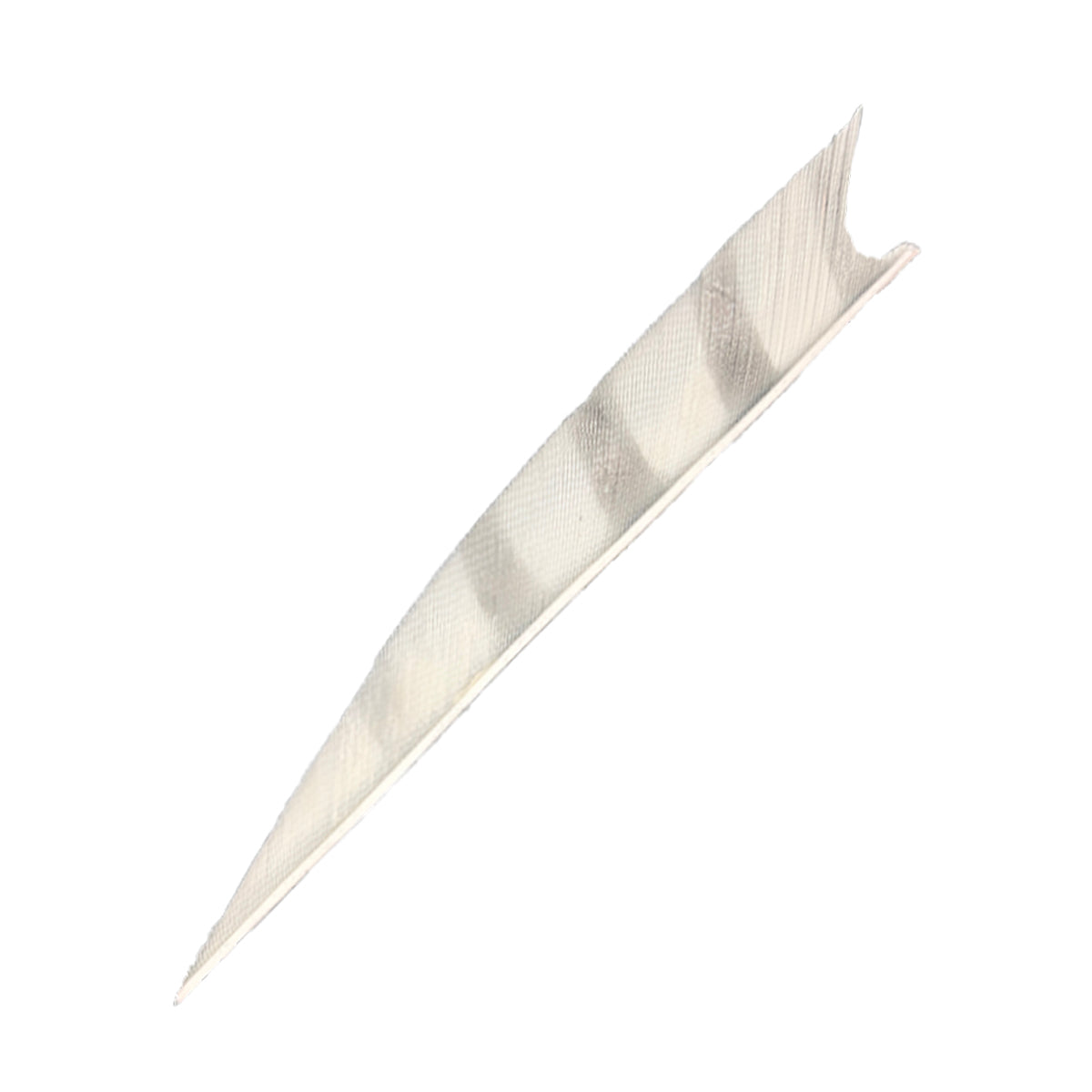 Feder RW Shark
