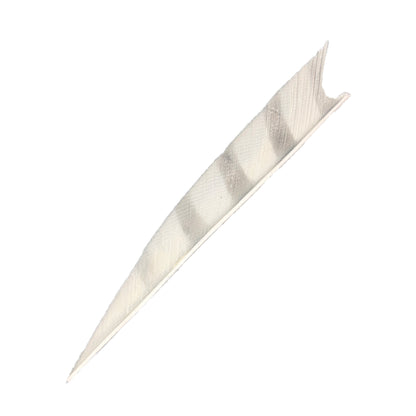 Feder RW Shark