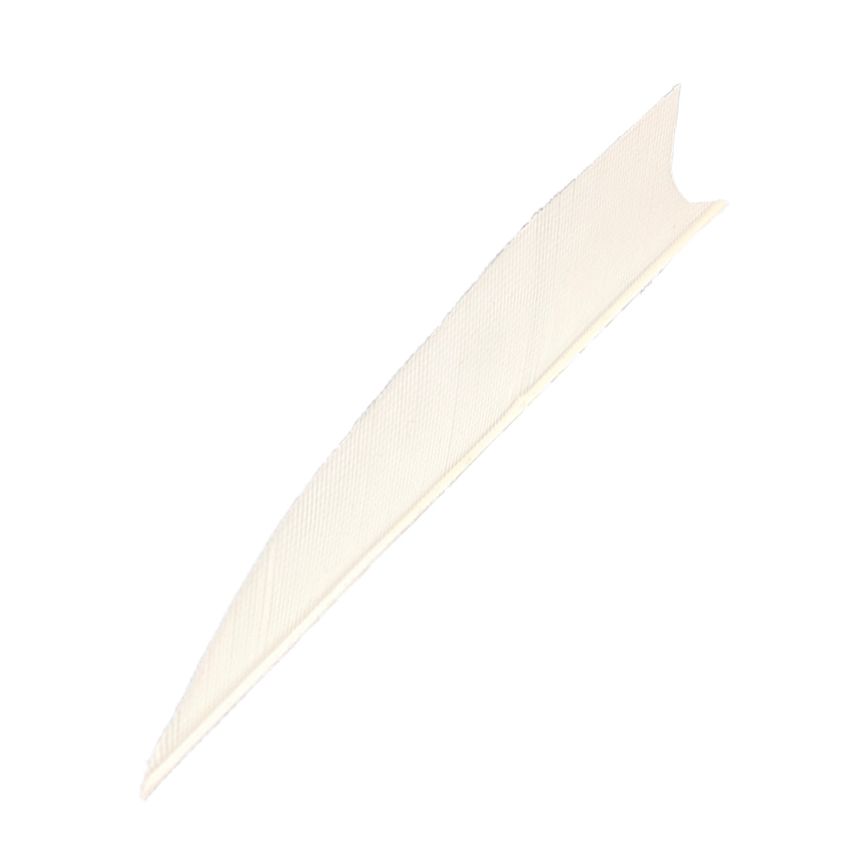 Feder RW Shark