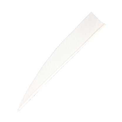 Feder RW Shield