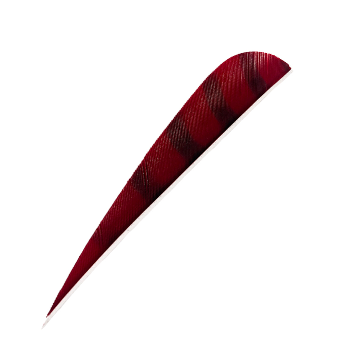 Feder RW Parabol