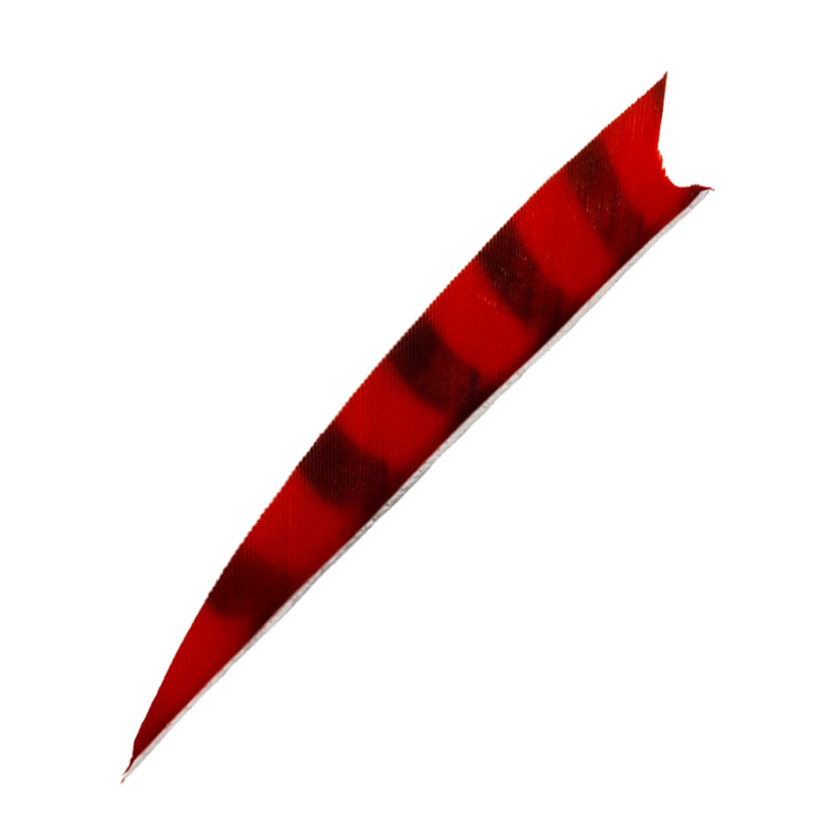 Feder RW Shark