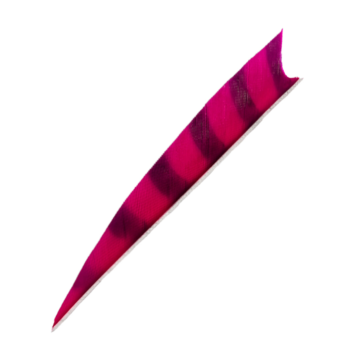 Feder RW Shark