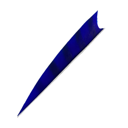 Feder RW Shark