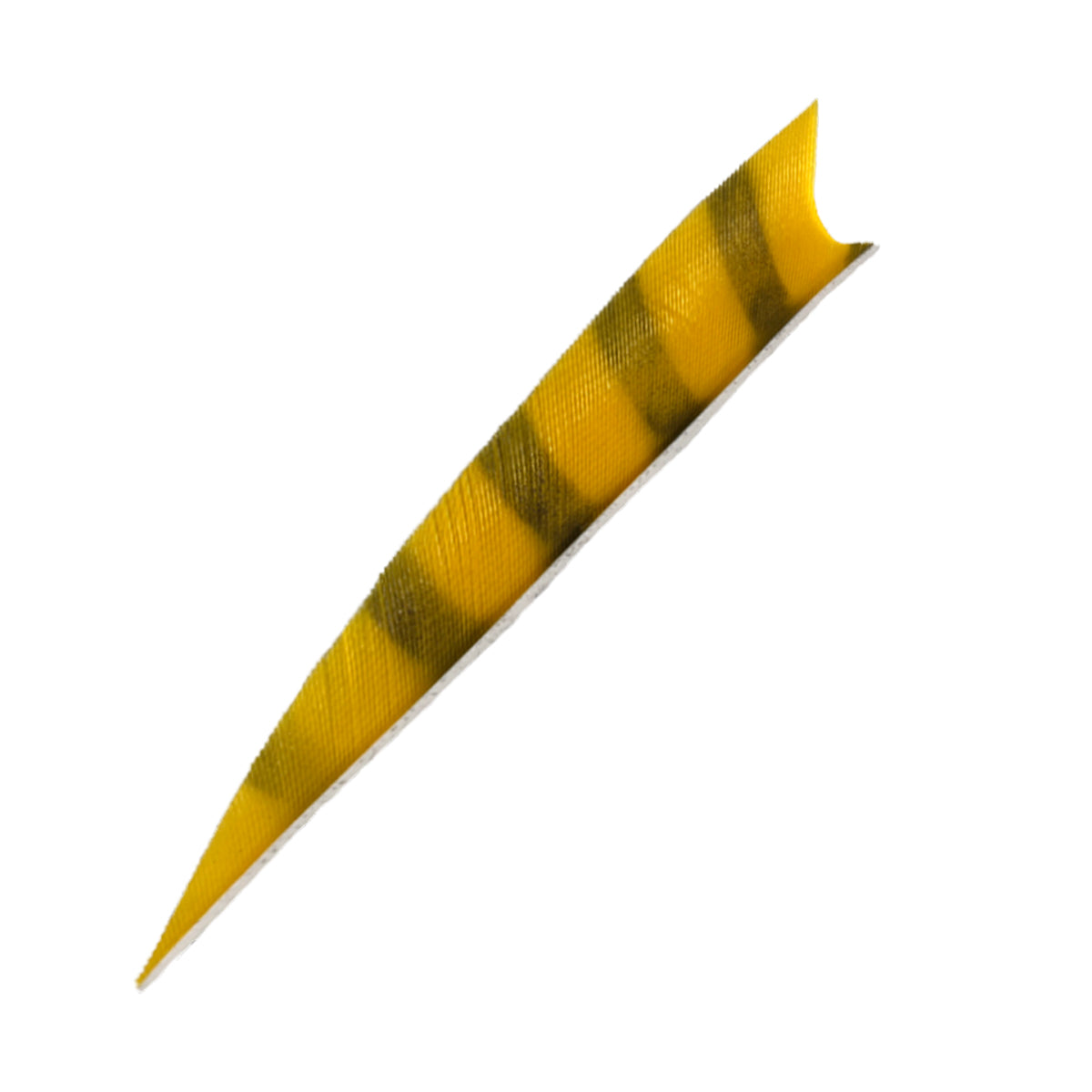 Feder RW Shark