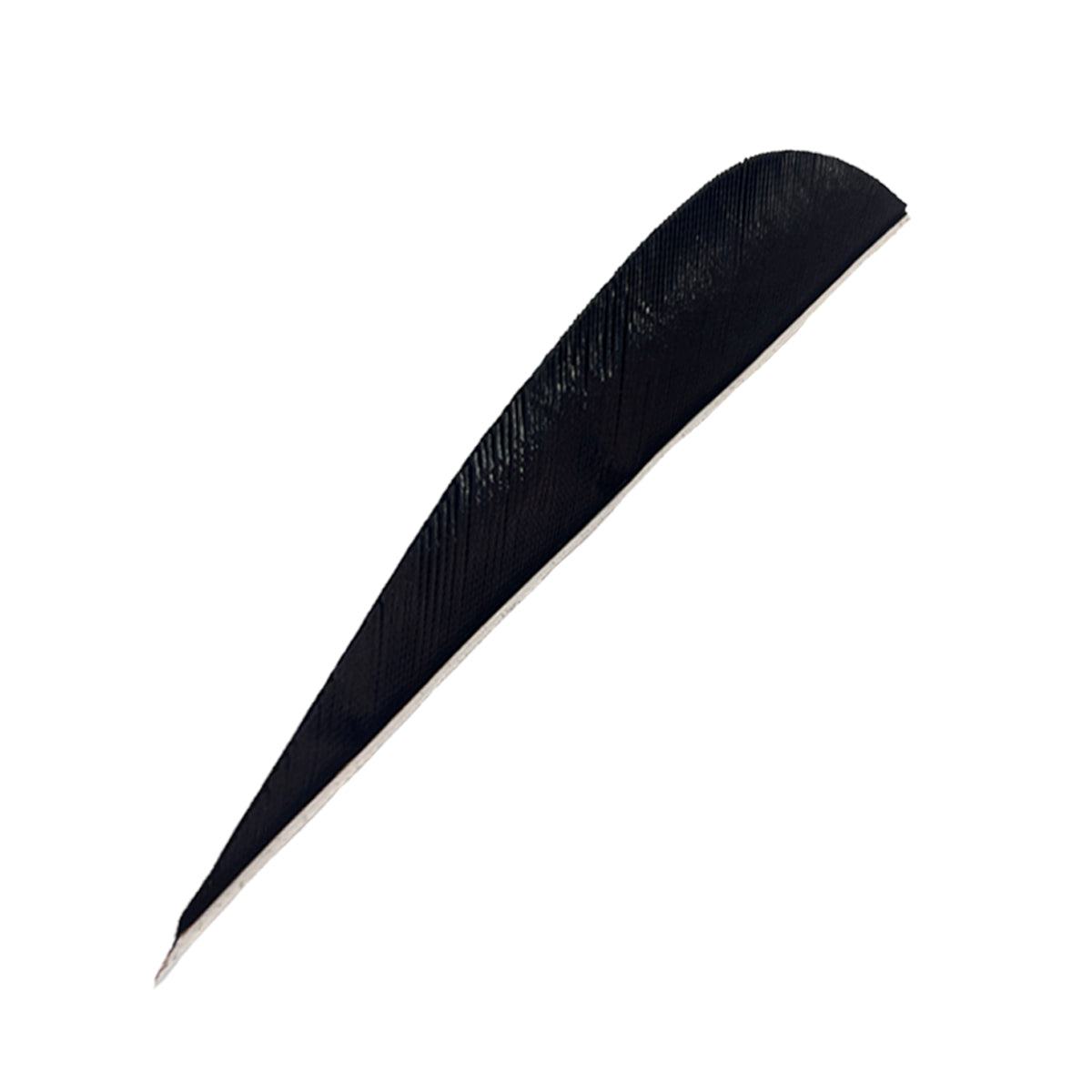 Feder RW Parabol