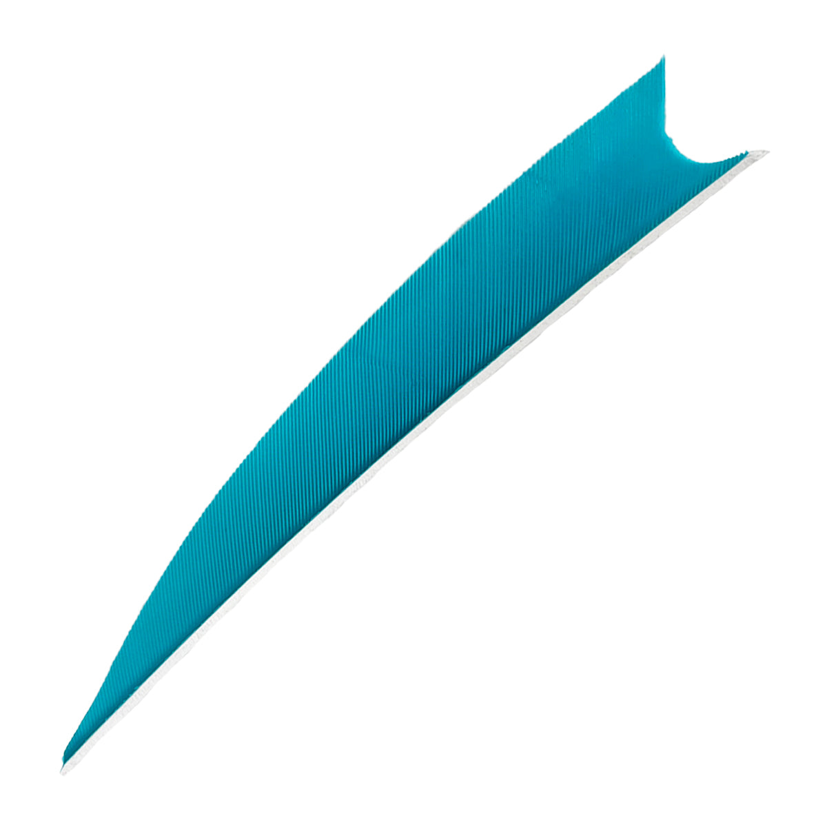 Feder RW Shark