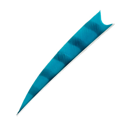 Feder RW Shark