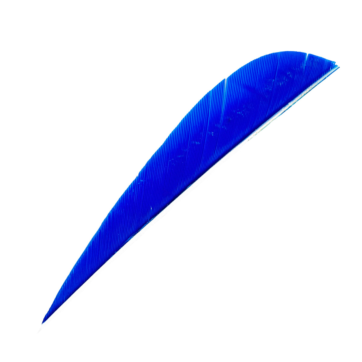 Feder RW Parabol